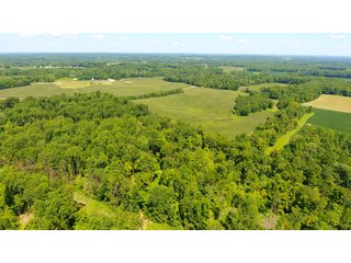 TRACTS 11 & 12 - LAND AUCTION - 1,193+/- ACRES IN 14 TRACTS IN PIKE & GIBSON COUNTY, INDIANA